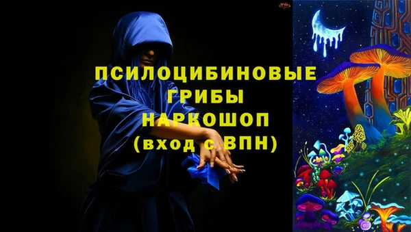 apvp Володарск