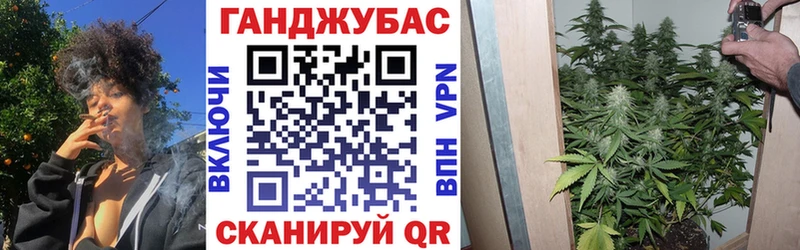 Конопля тримм  Вологда 